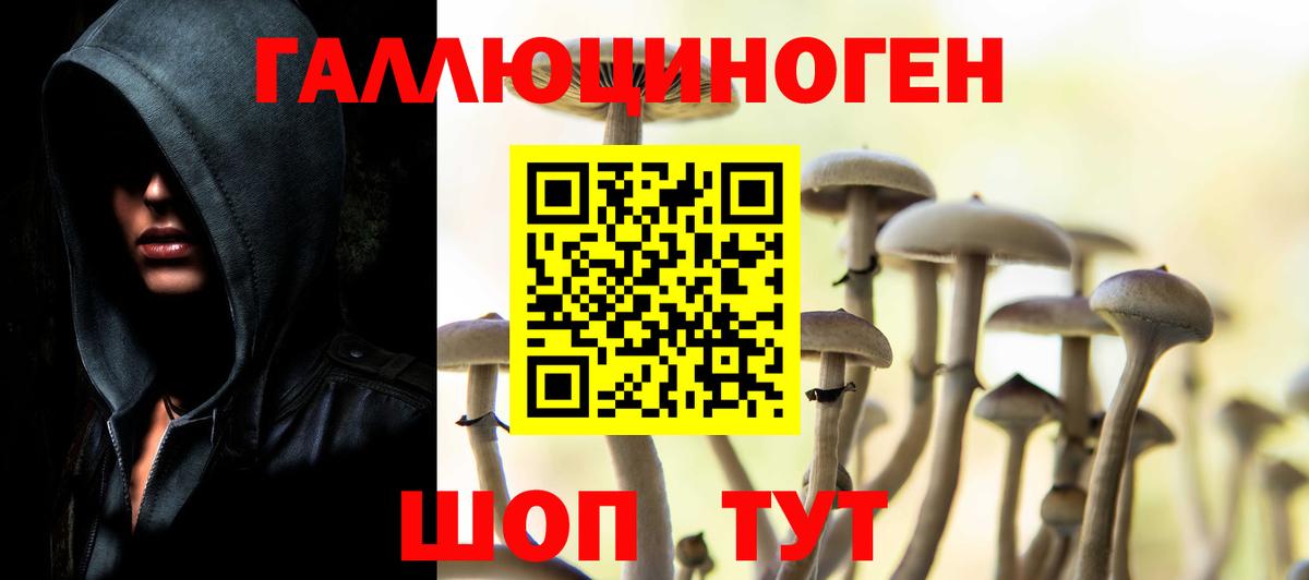 Псилоцибиновые грибы GOLDEN TEACHER  Вход с VPN  Богородицк 