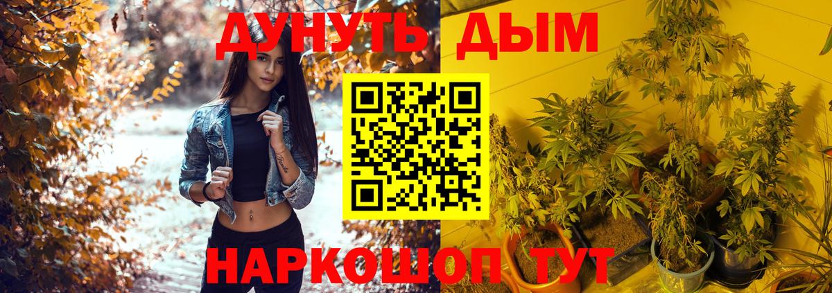 Шишки марихуана конопля  МАРИХУАНА VHQ  Богородицк  Вход с VPN  Марихуана семена  Шишки марихуана AK-47 
